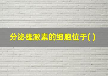 分泌雄激素的细胞位于( )